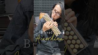 Accordina Borel #melodica #accordina #clavietta #melodicacover #harmonica #piano