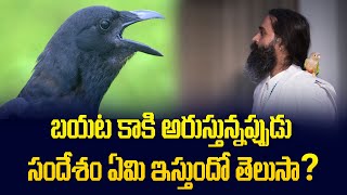 ఇంట్లో ఉండే దేవుడి మందిరాల్లో గోపురం ఉండవచ్చా  బయట కాకి అరుస్తున్నప్పుడు సందేశం ఏమి ఇస్తుందో తెలుసా