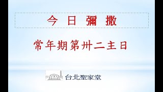 2022/11/06 (日)  常年期第三十二主日 網路直播