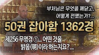 잡아함경... 1599회, 제256 무명경 ①... 어떤 것을 밝음(明)이라 하는지요?...