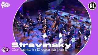 Stravinsky: Concerto in D voor strijkers - Nederlands Kamerorkest en Gordan Nikolić - Live HD