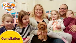 Daisy and Lily Compilation | Our Family Compilation | CBeebies