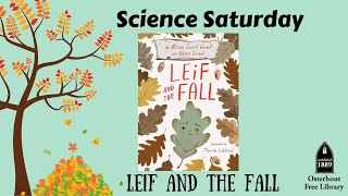 Science Saturday: Leif and the Fall