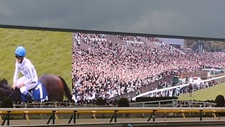 2024年 天皇賞・秋　東京競馬場を堪能してきました　ドウデュースが復活