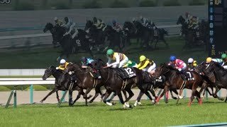 【現地】セイウンハーデス 競馬法100周年記念