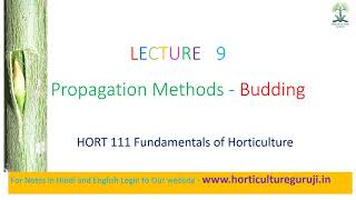 #HORT111 | Lecture 9 Propagation Method - Budding | कलिकायन