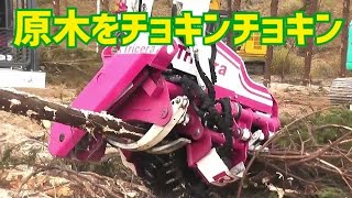 プロセッサーハーベスタ【トリケラ】　ロングアーム伐倒機【ブラキオEX】…松本システムエンジニアリング…実演…林業展苫小牧2021