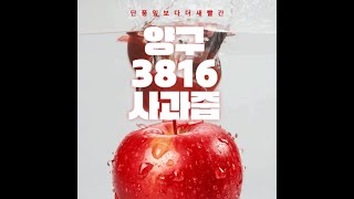 선화애플농원의 양구 3816사과즙(양구사과연합회)