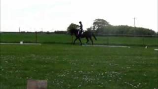 Bonnie dressage.wmv