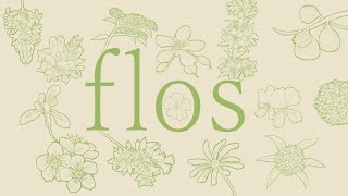 【UTAUカバー】flos【葦音希強単独音 Ver.1.5】