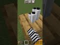 Floating candle#shorts #minecraft #alina gaming#thanksforwatching