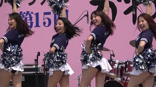 Cheerleading Xリーグ チアリーダー アサヒビールシルバースター　@かわさき楽大師まつり2019