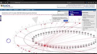 Regulatory Overview Tutorial 2021