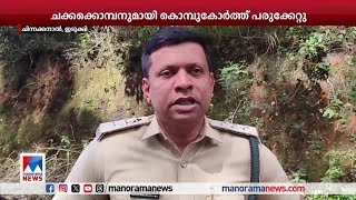 ചക്കക്കൊമ്പനുമായി കൊമ്പുകോര്‍ത്ത മുറിവാലന്‍ ചരിഞ്ഞു | Idukki | Murivalan