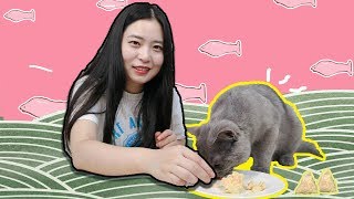 【猫饭：三文鱼粽子】EP6在中国的传统节日里，给猫咪一个惊喜