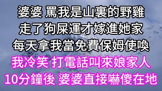 婆婆 罵我是山裏的野雞！走了狗屎運才嫁進她家！每天拿我當免費保姆使喚！我冷笑 打電話叫來娘家人！10分鐘後 婆婆直接嚇傻在地！#子女孝顺 #孝顺 #子女不孝 #唯美频道 #婆媳故事