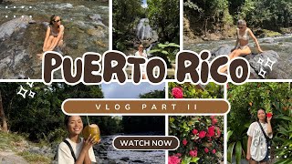 PUERTO RICO VLOG PART II: El Yunque National Rain Forest 🌳✨