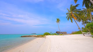 Maldives Ocean 4K 🏝 Tropical Beach in Summer. Ocean sounds for sleep and study