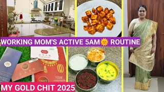 My SMART Plans to Manage Job \u0026 House Hold Chores|Starting New Gold Chit 2025|Working Mom'S Vlog