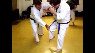 Tom Hill's Karate Dojo; Hizza Geri, Ashi Barai; Foot Sweep