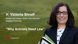 Why Animals Need Law | V. Victoria Shroff | TEDxCapilano U