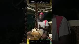 Kora : SUTUKUNG song : Yancuba Conteh