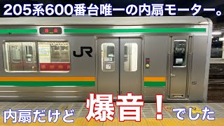 【走行音】日光線ではレアだった内扇モーターだけど、登りは迫力ある力行、下りは抑速ブレーキで「らしさ」が出ていた205系600番台