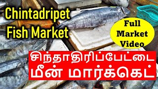 Chintadripet Fish Market  | சிந்தாதிரிப்பேட்டை மீன் மார்க்கெட் | Chennai Fish Market மீன் மார்க்கெட்