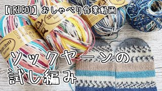 【棒針編み】日本に持ってく？/初めて購入したソックヤーンの試し編みで靴下🧦【おしゃべり作業動画】