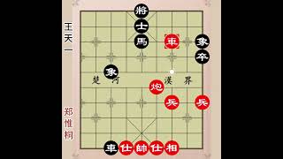 都说是和棋，最后反转了！ #象棋 #王天一 #郑惟桐