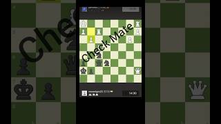 Indian Vs German l Check Mate by Knights \u0026 Queen l Online Rapid Game 1st Jan 2025