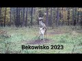 Leśni mieszkańcy cz.45.                                 Bekowisko 2023.c.d.