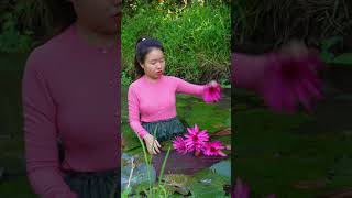 Tu went to pick lotus flowers to make hotpot at her husband's house.