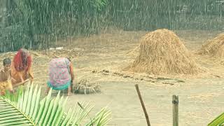 🍀 Honey Rain🌷 মধু বর্ষা 🍀 (An Audio Visual of Raining in Rural Bangladesh. 🌻🌻