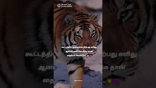 stay alone with confidence WhatsApp status#வாழ்க்கை#தனியாக நில்#துணிந்து செய்