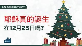 耶穌真的誕生在12月25日嗎 ?