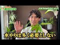 【徹底解説】パキラなどの観葉植物がうまく育たない理由わかりますか？