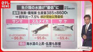 【解説】魚介の水揚げ過去最低…サンマは「－96.8％」 対応策は「魚種転換」？『知りたいッ！』