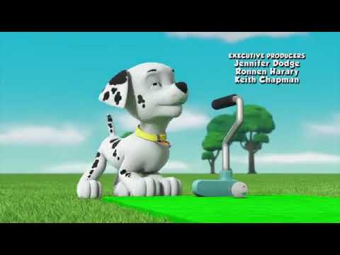 Paw Patrol Ll Pups Save The Big Bad Bird Crew Clip - YouTube