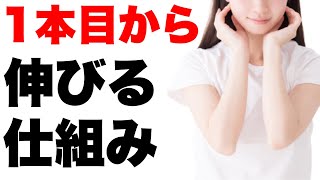 【1本目から伸ばす】YouTubeの仕組みを理解して短期間で簡単に再生回数を伸ばす方法【YouTubeの始め方】