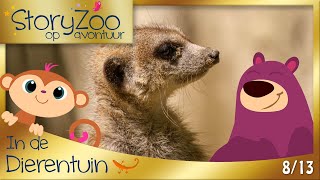 StoryZoo op Avontuur • Stokstaartje