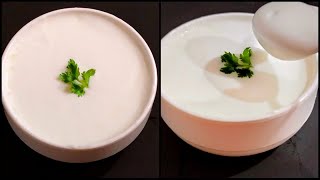 Homemade Mayonnaise in 1 Minute Using Mixer | How to make Mayonnaise At Home | without Egg #Shorts