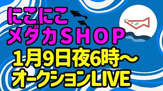 2025年第２回　にこにこメダカSHOPオークション‼