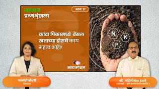 शेतीतज्ञांचा सल्ला: कांदा पिकासाठी बेसल डोस । महत्व आणि उपयोग | Onion Farming