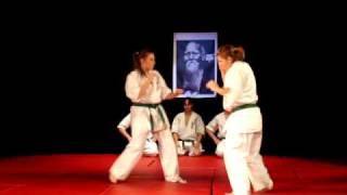 Demonstratie Karate Kyokushin