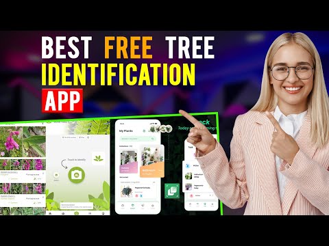 Best Free Tree Identification Apps: iPhone & Android (Which is the Best Tree Identification App?)