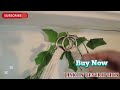 wood meets color 3 tier macrame wall hanging shelves with artificial ivy leaves with discounted rate