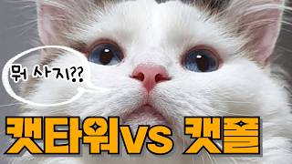 고양이 필수 아이템🐈‍⬛✨ 초보집사들을 위한 캣타워 vs 캣폴 고르는 방법부터 추천까지!