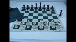 Basic Starter Chess Set Combo