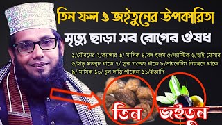 তিন ফল ও জইতুনের উপকারিতা | মোল্লা নাজিম উদ্দীন নতুন ওয়াজ ২০২১ | molla nazim Uddin new waz 2021